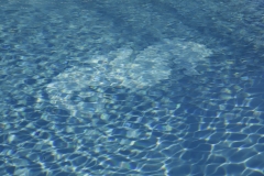 Pool detail